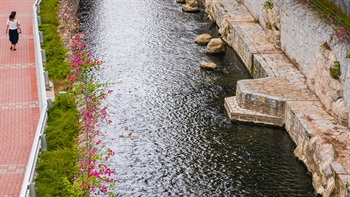 To provide habitat and refuge for fish, fish shelters and flow deflectors were added along the river to induce variations in river flow direction and velocity.